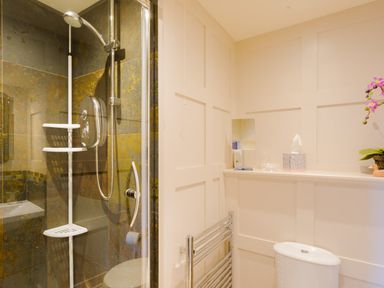A bathroom with a shower stall, towel rack, toilet, and a shelf with a tissue box and small mirror at Birchmill Cottage in Crook
