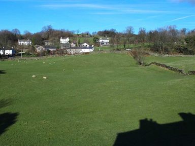 A green field with sheep and houses along the tree line at Birchmill Cottage in Crook