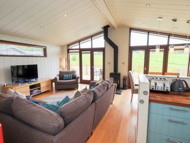 A living room with a television and stove at The Loghey in Hawkshead