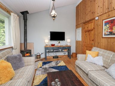 A living room with two plaid sofas a wood stove and a television on a table at Lake Lodge in Bowness-On-Windermere