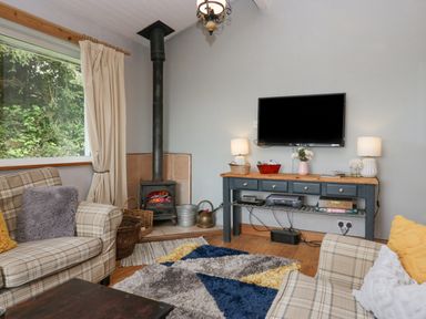A living room with a wood stove a television on a console table two sofas and a window at Lake Lodge in Bowness-On-Windermere