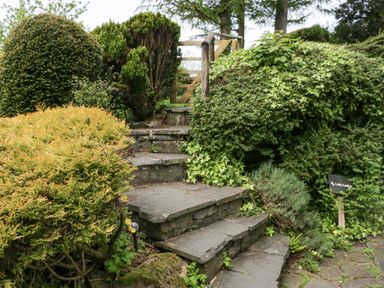 A stone staircase surrounded by bushes and greenery with a wooden gate at the top at Lake Lodge in Bowness-On-Windermere