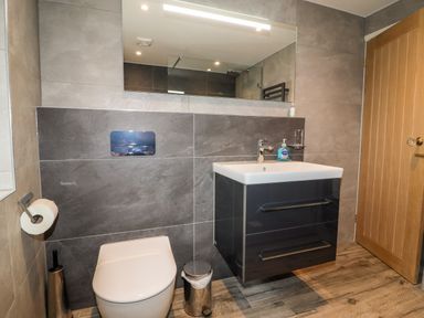 A bathroom with a toilet sink mirror and wooden door at Gunpowder Cottage in Langdale
