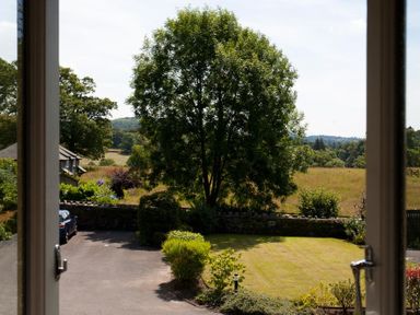 A view of a garden with a lawn and large tree beyond a driveway from a window at The Old Barn in Ambleside