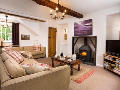 A living room with two sofas a wood stove a coffee table and a television at Pollys Cottage in Langdale