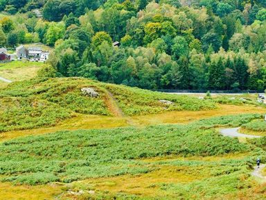 A grassy hillside with a walking path and trees in the background near houses at Pollys Cottage in Langdale