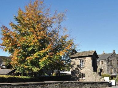 A stone house and another building with autumn trees and a stone wall at Candleberry Cottage in Ambleside