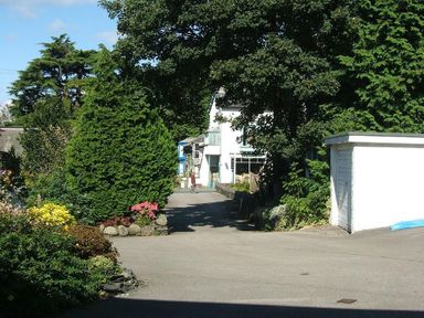 A driveway with trees and bushes leading to a white house partially shaded at Mosslea in Bowness