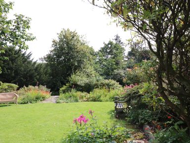 A garden with benches surrounded by flowering plants and trees at Robin Cottage in Troutbeck