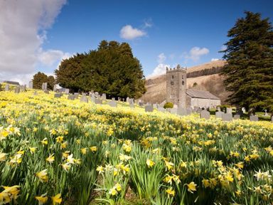 A cemetery with tombstones and yellow flowers with a stone church and trees in the background
