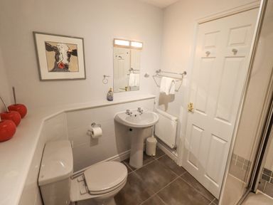 A bathroom with a toilet sink mirror towel rack and a door at Ghyll Heights in Ambleside