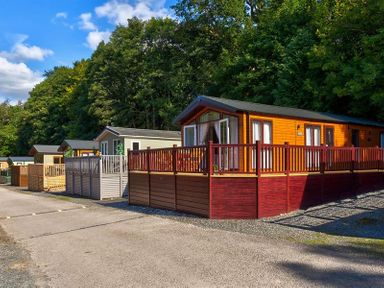 A row of holiday lodges with wooden fences in front of trees at Lancashire Rose in Ambleside