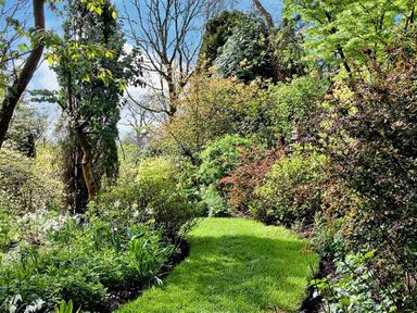 A garden with green grass and various trees and shrubs at High Cleabarrow in Windermere