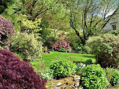 A garden with various shrubs and flowering plants and a stone wall at High Cleabarrow in Windermere