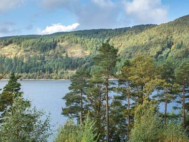 A lake surrounded by trees and hills covered in forest at Thirlmere Cottage in Grasmere