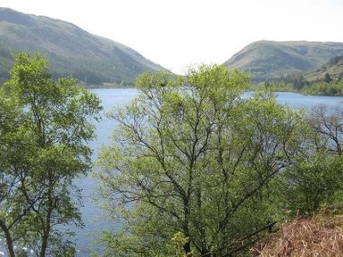 A lake with trees in the foreground and hills in the background at Thirlmere Cottage in Grasmere
