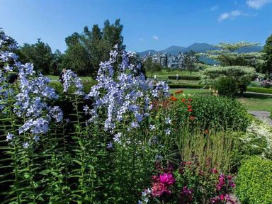 A garden with purple and pink flowers with trees and a building in the background at Agathi in Keswick