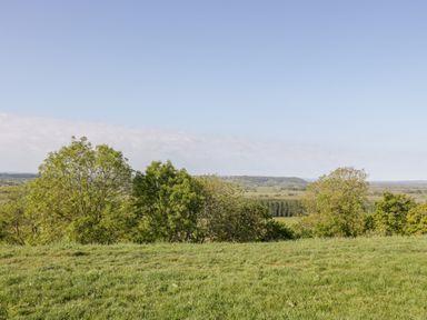 A grassy field with trees and a distant landscape under a clear sky at Old Cary Cottage Henley near Langport