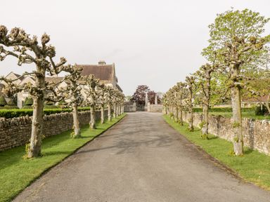 A paved driveway lined with pruned trees and low stone walls leading to a stone building with a pitched roof at Old Cary Cottage Henley near Langport