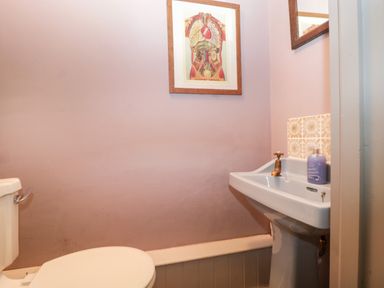 A small bathroom with a toilet and a sink with soap and a framed anatomical poster on the wall at Old Cary Cottage Henley near Langport