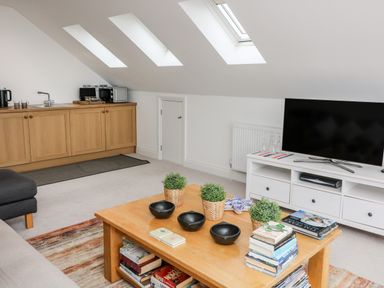 A living area with a wooden coffee table with plants and books a black sofa a wooden cabinet with a sink and appliances and a white TV stand with a television at St Julien in Dawlish