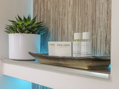 A shelf with a potted succulent plant and toiletries including body wash and shampoo at Chycoose in Hicks Mill near Perranarworthal