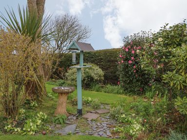 A garden with a birdbath, bird feeder, various shrubs and flowering plants at Chycoose Hicks Mill near Perranarworthal