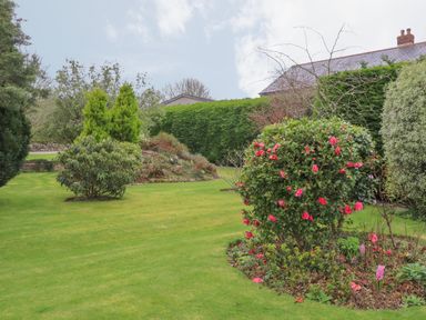 A garden with green grass shrubs and flowering plants near a house at Chycoose in Hicks Mill near Perranarworthal