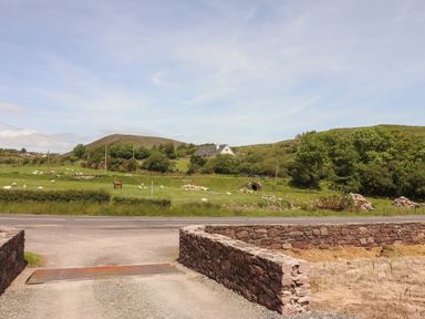A rural landscape with green fields sheep horse trees and a house in the distance at Coolnaharragill Lower Annexe in Glenbeigh County Kerry