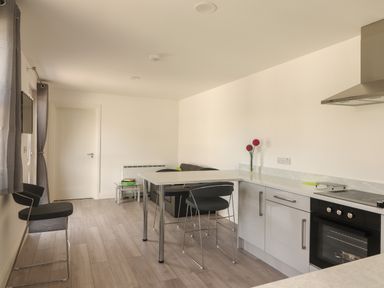 A kitchen and dining area with chairs and a sofa at Coolnaharragill Lower Annexe in Glenbeigh County Kerry