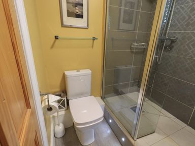 A bathroom with a toilet and a shower enclosure with glass doors at Heron Cottage in Ambleside
