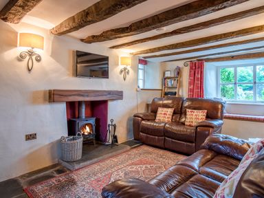 A living room with leather sofas a wood burning stove a television and a bookshelf at Knotts Cottage in Troutbeck