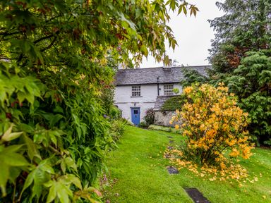 A white cottage with a blue door surrounded by green plants and a yellow flowering shrub at Knotts Cottage in Troutbeck