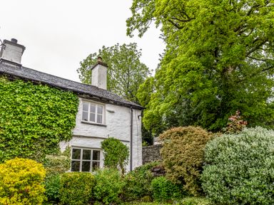 A white cottage with ivy on the wall and various bushes and trees around it at Knotts Cottage in Troutbeck