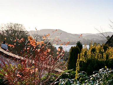 A garden with various bushes and trees with a lake and hills in the background at Todd Crag in Ambleside
