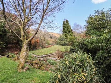 A garden with a tree a grassy area and various shrubs at Rawfell in Great Langdale