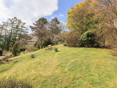 A grassy hillside with a wooden bench and trees at Rawfell in Great Langdale