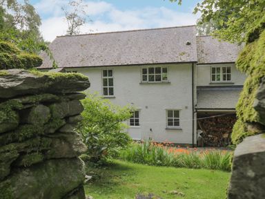 A garden with grass flowers and a log storage area in front of a white house at Orchard House in Ambleside