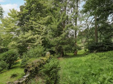 A green garden with trees bushes and a stone wall at Orchard House in Ambleside