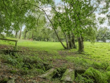 A grassy area with trees and a small wooden bridge over a ditch at Orchard House in Ambleside