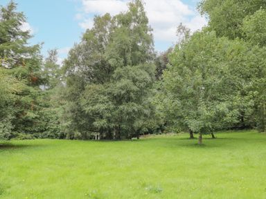 A grassy field with several mature trees under a partly cloudy sky at Orchard House in Ambleside