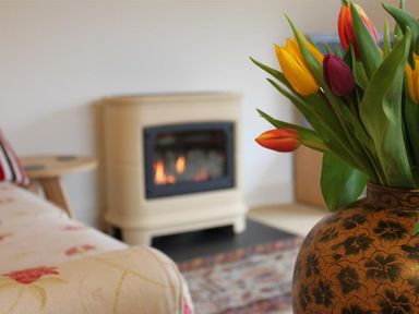 A vase with colorful tulips in front of a fireplace and a couch at Bank Foot in Ambleside