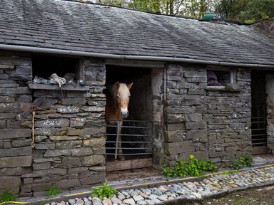 A stone stable with a horse standing behind a metal gate and plants growing outside Jane's Cottage Hawkshead
