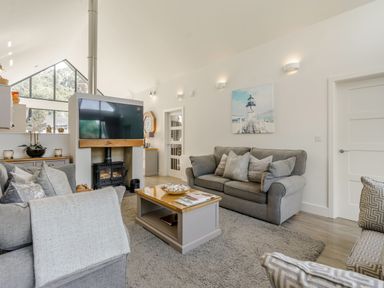 A living room with grey sofas a coffee table a fireplace and a wall-mounted television at Wood Sage in Bamburgh