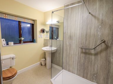 A bathroom with a toilet with a wooden seat a pedestal sink a walk in shower and a window at Low House in Ullswater