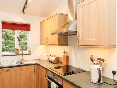 A kitchen with wooden cabinets a sink a toaster a kettle and an electric stove at Fir Howe in Skelwith