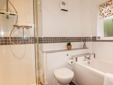 A bathroom with a shower, toilet, bathtub, small plant, and window at Fir Howe in Skelwith