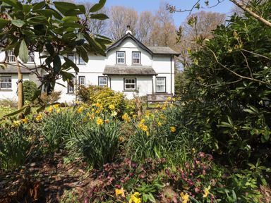 A garden with yellow flowers and bushes in front of a white house with multiple windows at Hodge How Cottage in Windermere