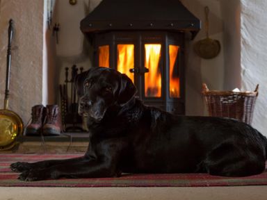 A black dog lying on a rug in front of a lit fireplace with boots and fireplace tools nearby at Old Droomer in Windermere