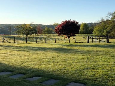 A grassy field with a wooden fence and gate and several trees at High Cunsey Farm in Far Sawrey